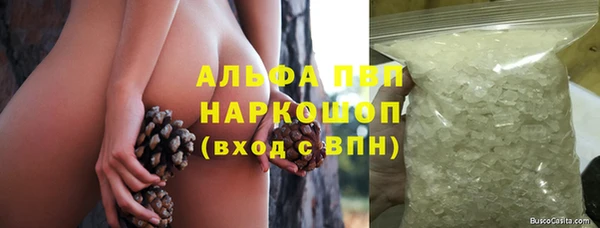 стафф Семилуки