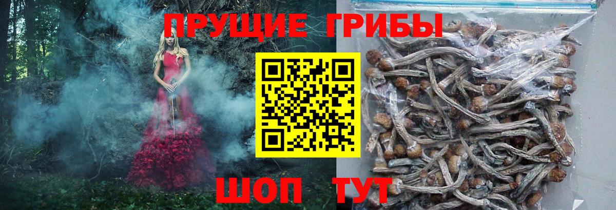 Псилоцибиновые грибы ЛСД  Вход с VPN  купить наркотик  Крымск 